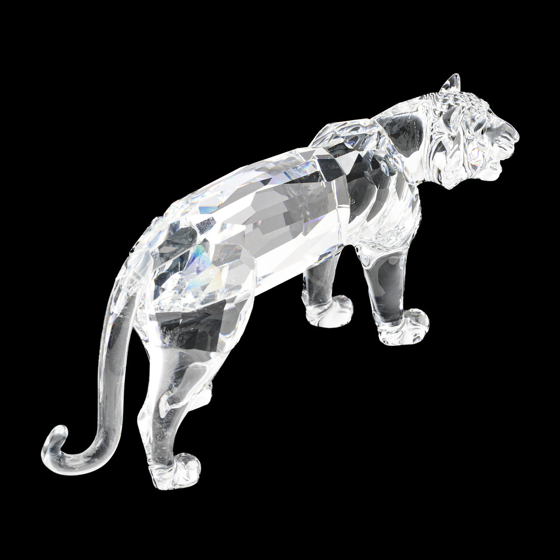 SWAROVSKI Tiger 220470